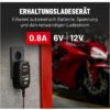 Absina Battery Charger A800 6V/12V - Image 4